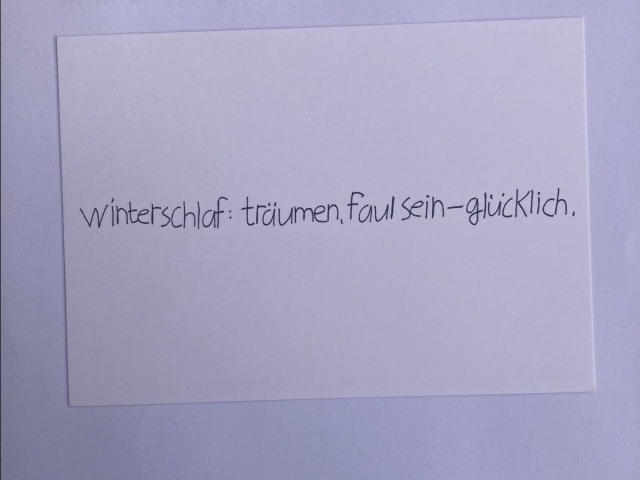 Handgeschriebener Text: Winterschlaf: träumen, faul sein - glücklich